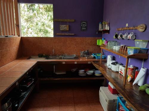 Hostal Slow Monkey Hostel