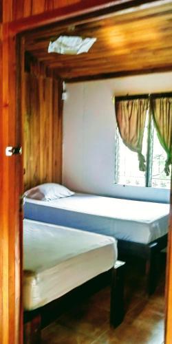 Hostal Toritos Guest Room
