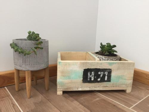 Toluken Apartamento