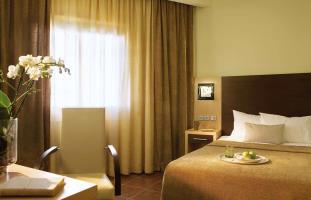 Hotel Anessis