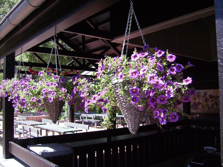 Ribe Byferie Resort