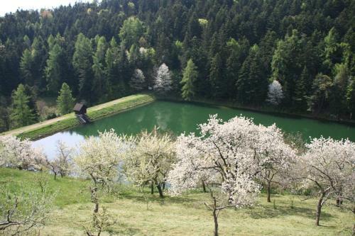 Agroturismo Sad Nad Klingerom
