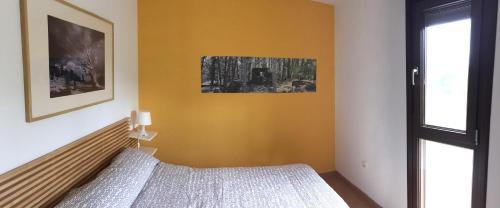 Veragua. Glamping Y Apartamentos Tur�sticos