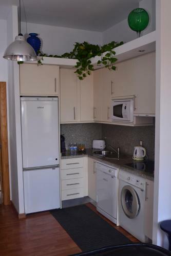 Malaga Dreams Apartments