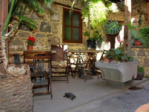 Casa Rural La Pileta - Doramas