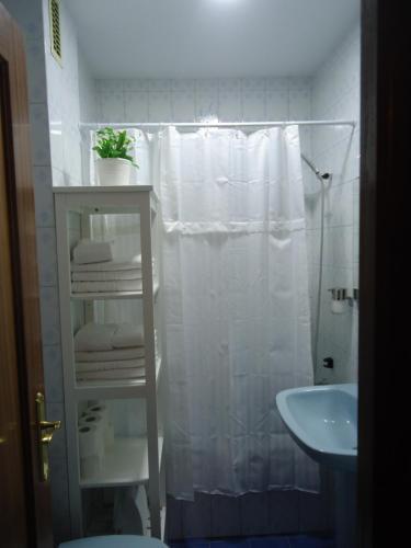 Apartamentos Acevedo Centro