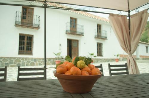 Rural Montes M�laga: Cortijo La Palma