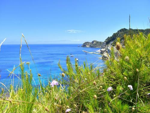 Apartamento Altamar I
