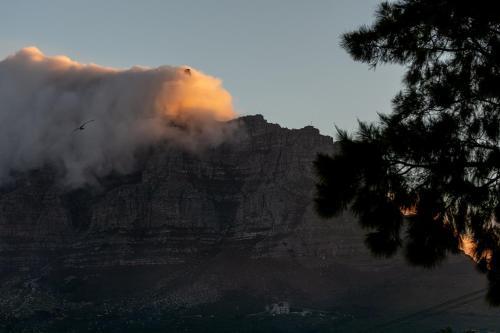 Albergue Upperbloem