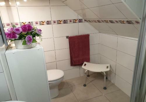 Apartamento Cl�sico En Santa Cruz Palma