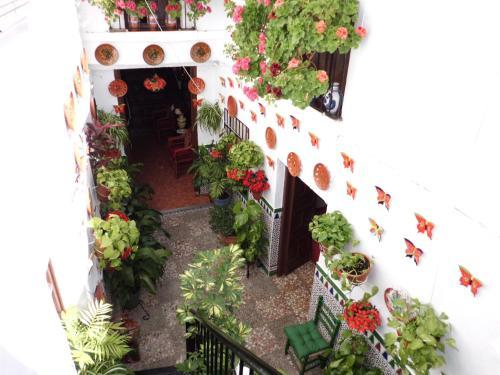 Hostal Pensi�n Agustina