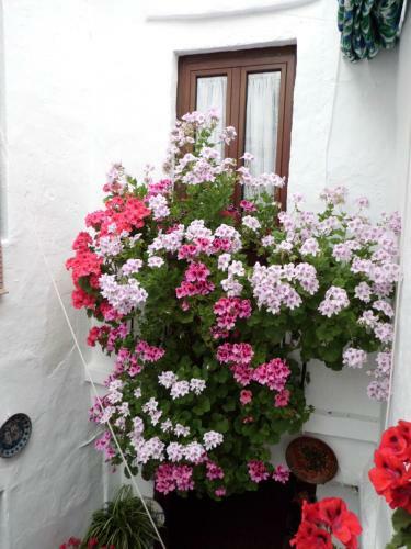 Hostal Pensi�n Agustina