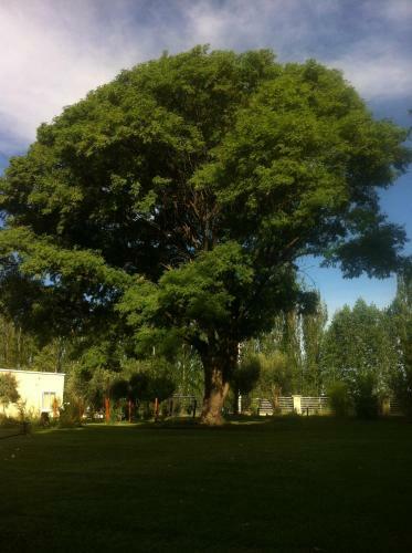 Apartamento Ayres De Cuyo