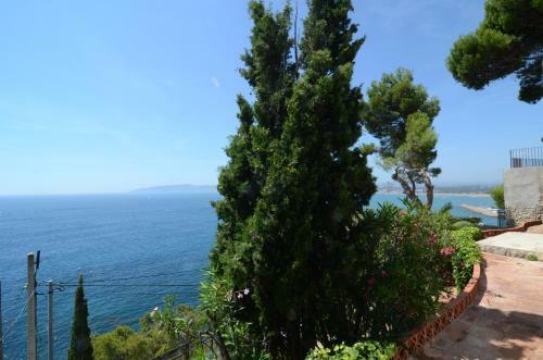 Villa Narcol
