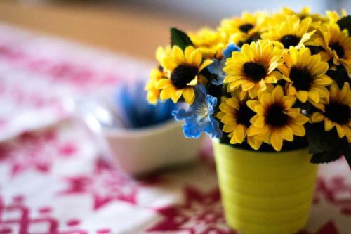 Bed & Breakfast Notti E Dintorni