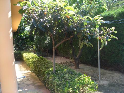 Villa Casa Zaida