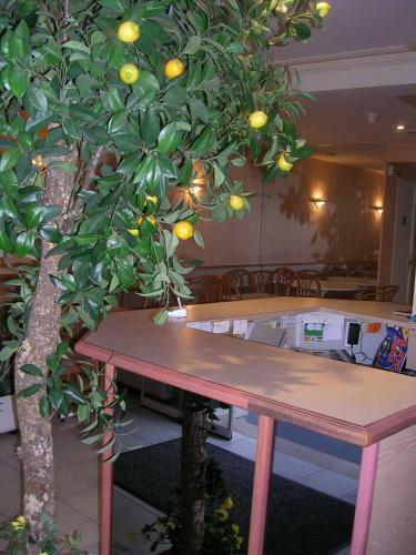 Hotel Asteries