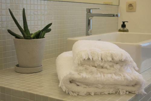 Bed & Breakfast Burgstraat 8