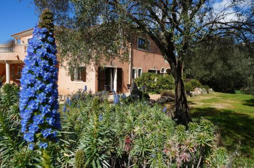 Bed & Breakfast Chambre D'h�tes Domaine Pero Longo