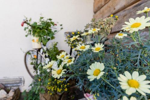 Posada Gasthof Zum Hammer
