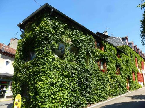 Bed & Breakfast La Vigne Vierge