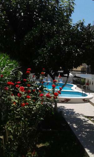 Hostal Oasis