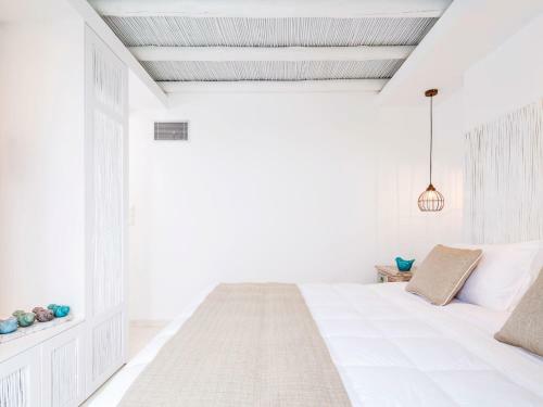 Paradise Design Apartments