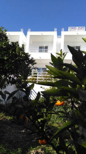 Apartamento Antouan Matina