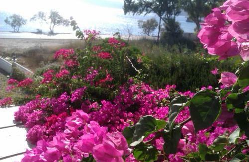 Moustakas Beach Apartments