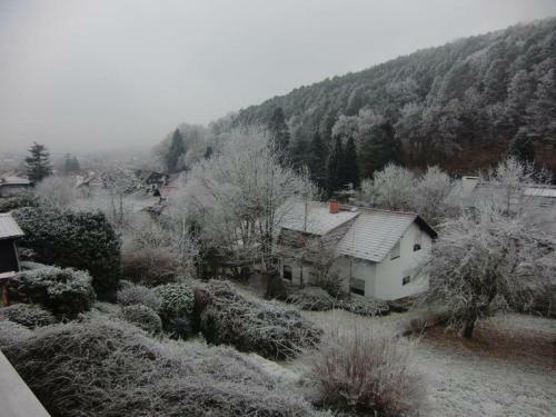 Hostal Pension Waldblick