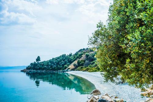 Apartamento Miradouro Sea Front Residencies