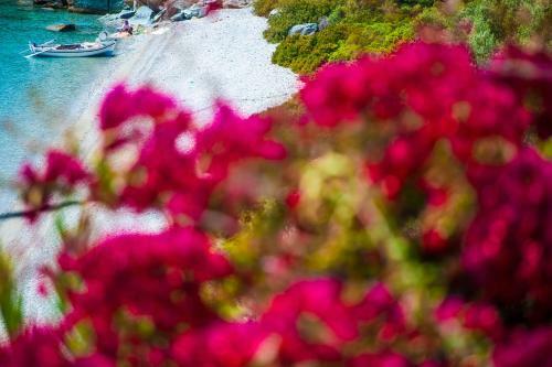Apartamento Miradouro Sea Front Residencies