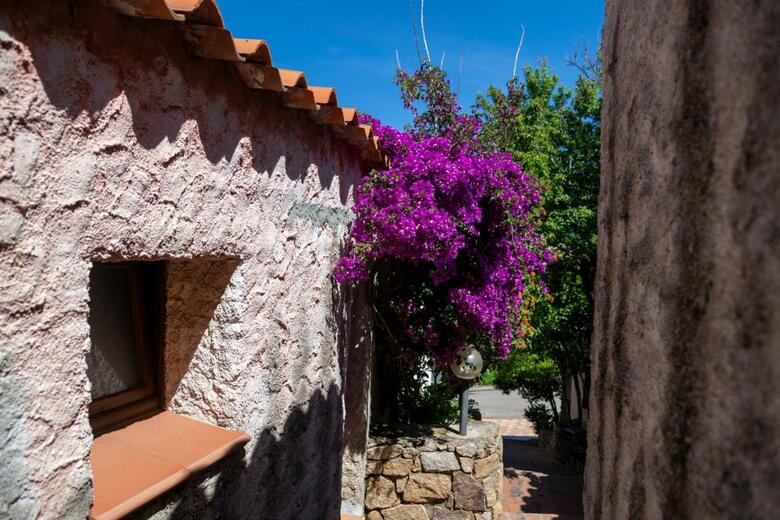 Hotel Altura
