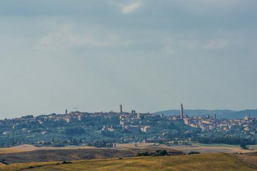 Bed & Breakfast Fattoria Di Radi