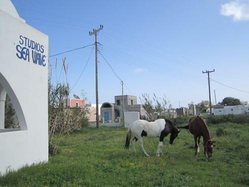 Apartamento Sea Wave Hotel