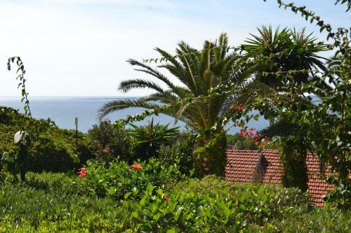 Irilena Studios And Apartments