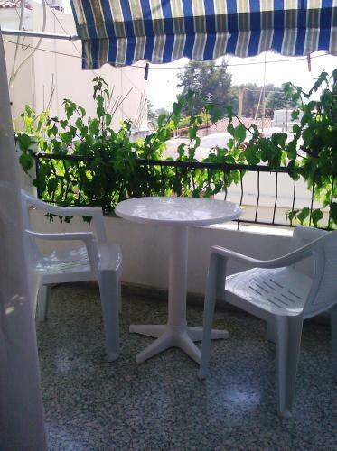 Hostal Captain's Rooms