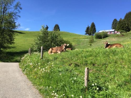 Apartamento Sehnsucht-allgaeu