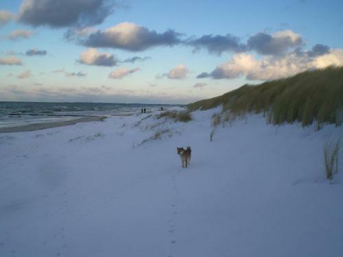 Residenz Lausitz - Apartments F�r Urlaub Mit Hund