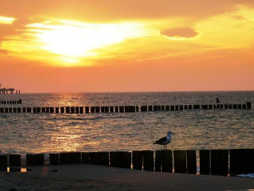 Residenz Lausitz - Apartments F�r Urlaub Mit Hund