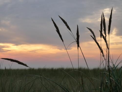 Residenz Lausitz - Apartments F�r Urlaub Mit Hund