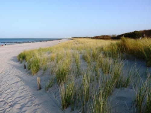 Residenz Lausitz - Apartments F�r Urlaub Mit Hund