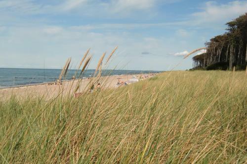 Residenz Lausitz - Apartments F�r Urlaub Mit Hund