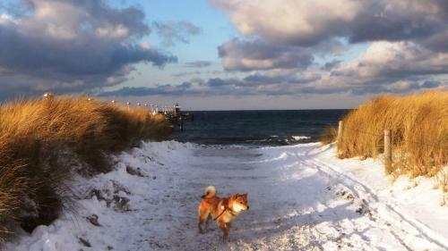 Residenz Lausitz - Apartments F�r Urlaub Mit Hund