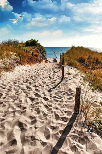 Residenz Lausitz - Apartments F�r Urlaub Mit Hund