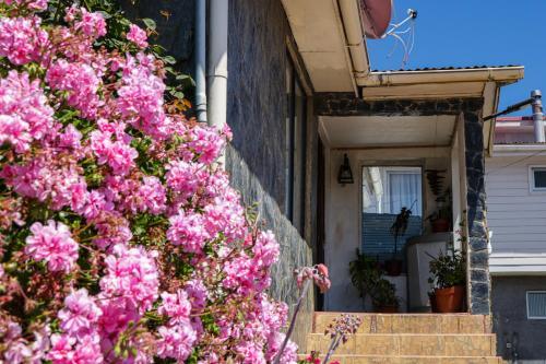 Hostal Ruca De Cura