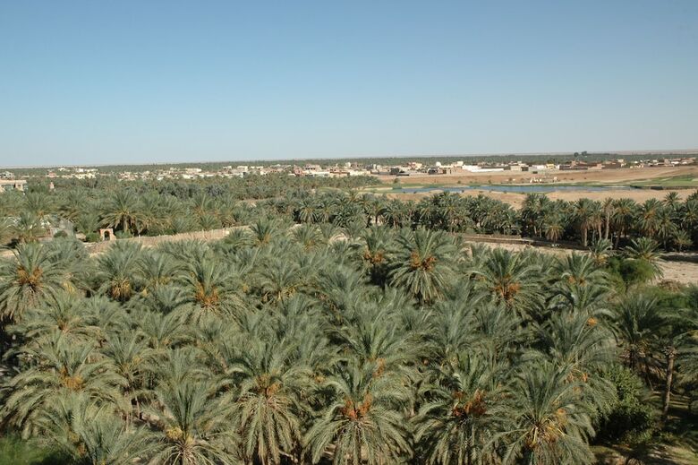 Hotel El Mouradi Tozeur