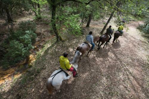 Albergue Inturjoven Cazorla