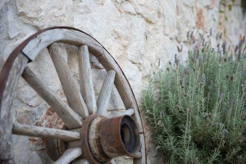 Agroturismo Opora Country Living