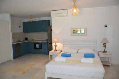 White Blue Houses & Apartments Paros